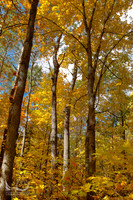Algonquin Provincial Park