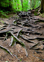 Whiskey Rapids Trail | Staircase