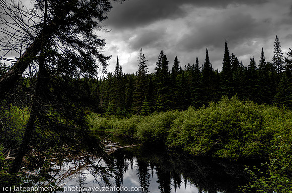 Whiskey Rapids Trail