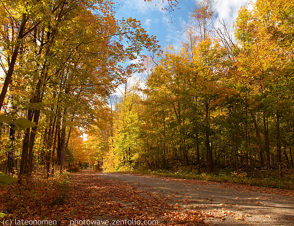 Balsam Lake Provincial park